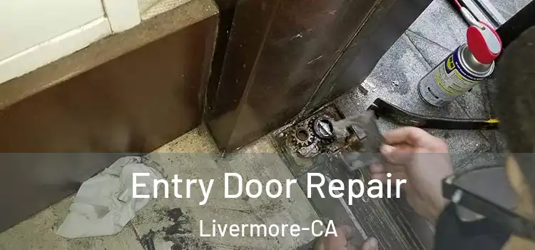  Entry Door Repair Livermore-CA