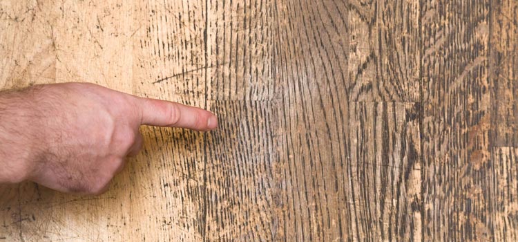 Wood Door Scratch Repair in Livermore